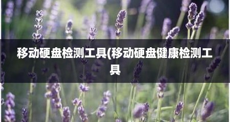 移动硬盘检测工具(移动硬盘健康检测工具