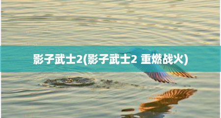 影子武士2(影子武士2 重燃战火)