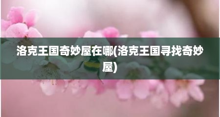 洛克王国奇妙屋在哪(洛克王国寻找奇妙屋)