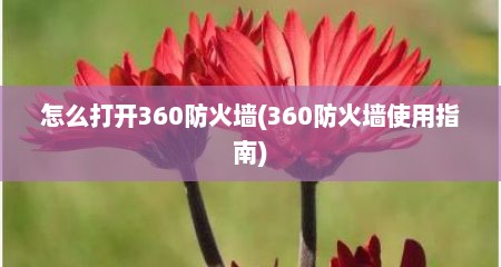 怎么打开360防火墙(360防火墙使用指南)