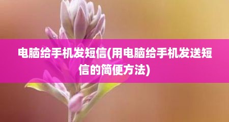 电脑给手机发短信(用电脑给手机发送短信的简便方法)