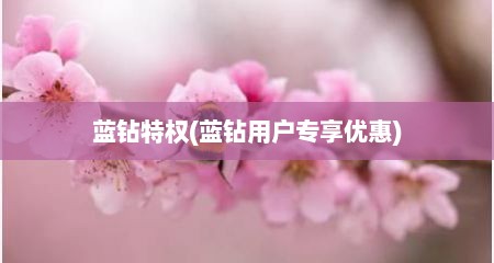 蓝钻特权(蓝钻用户专享优惠)