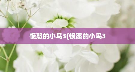 愤怒的小鸟3(愤怒的小鸟3