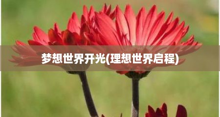 梦想世界开光(理想世界启程)