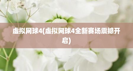 虚拟网球4(虚拟网球4全新赛场震撼开启)