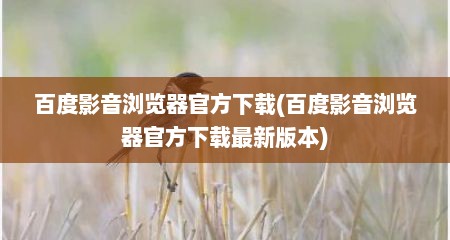 百度影音浏览器官方下载(百度影音浏览器官方下载最新版本)