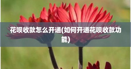 花呗收款怎么开通(如何开通花呗收款功能)