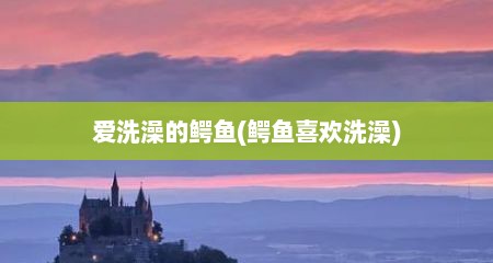 爱洗澡的鳄鱼(鳄鱼喜欢洗澡)