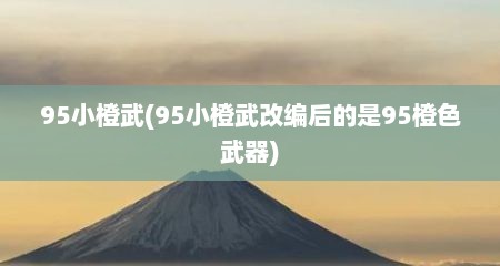 95小橙武(95小橙武改编后的是95橙色武器)