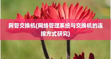 网管交换机(网络管理系统与交换机的连接方式研究)