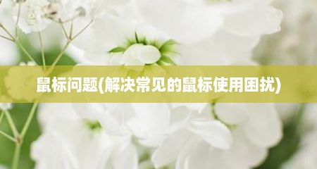鼠标问题(解决常见的鼠标使用困扰)
