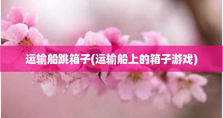 运输船跳箱子(运输船上的箱子游戏)