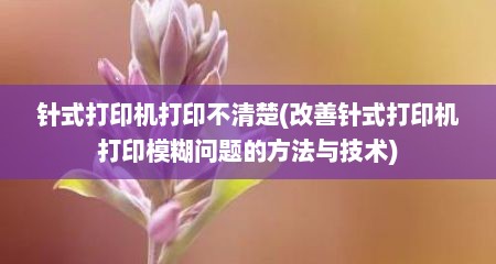 针式打印机打印不清楚(改善针式打印机打印模糊问题的方法与技术)