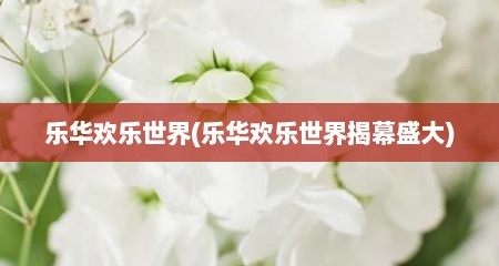 乐华欢乐世界(乐华欢乐世界揭幕盛大)