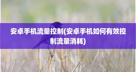 安卓手机流量控制(安卓手机如何有效控制流量消耗)