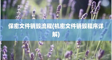 保密文件销毁流程(机密文件销毁程序详解)
