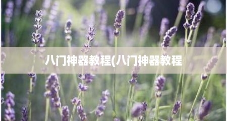 八门神器教程(八门神器教程