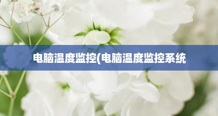 电脑温度监控(电脑温度监控系统