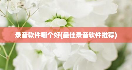 录音软件哪个好(最佳录音软件推荐)