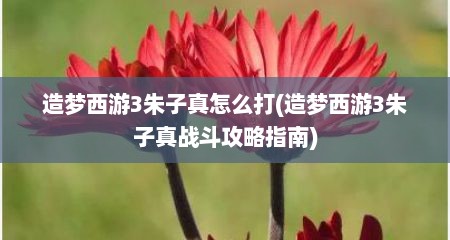 造梦西游3朱子真怎么打(造梦西游3朱子真战斗攻略指南)