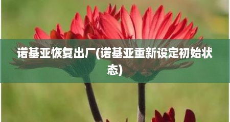 诺基亚恢复出厂(诺基亚重新设定初始状态)