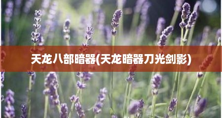 天龙八部暗器(天龙暗器刀光剑影)