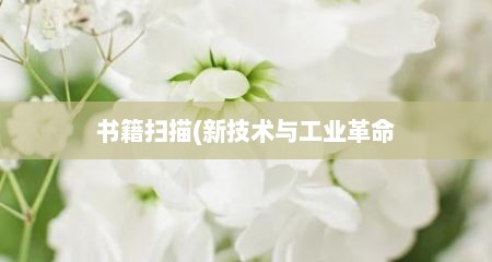 书籍扫描(新技术与工业革命