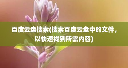 百度云盘搜索(搜索百度云盘中的文件，以快速找到所需内容)