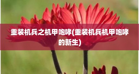 重装机兵之机甲咆哮(重装机兵机甲咆哮的新生)
