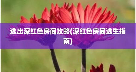 逃出深红色房间攻略(深红色房间逃生指南)