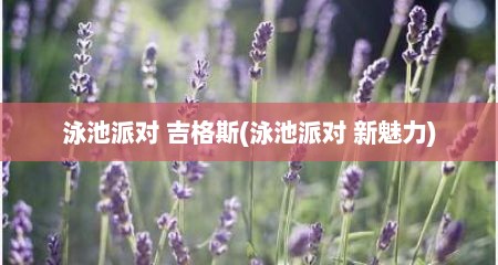 泳池派对 吉格斯(泳池派对 新魅力)