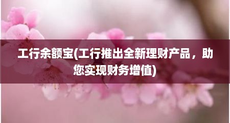 工行余额宝(工行推出全新理财产品，助您实现财务增值)