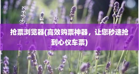抢票浏览器(高效购票神器，让您秒速抢到心仪车票)