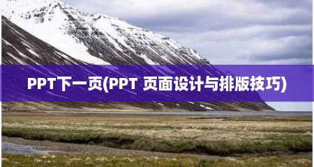 PPT下一页(PPT 页面设计与排版技巧)