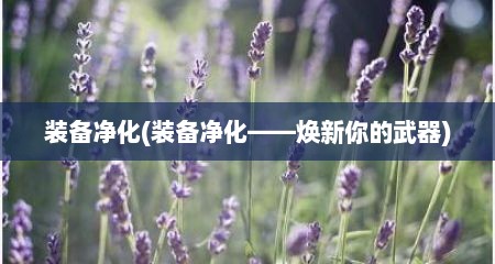 装备净化(装备净化——焕新你的武器)
