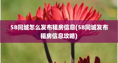 58同城怎么发布租房信息(58同城发布租房信息攻略)