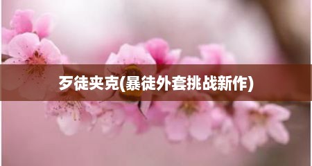 歹徒夹克(暴徒外套挑战新作)