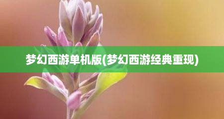 梦幻西游单机版(梦幻西游经典重现)