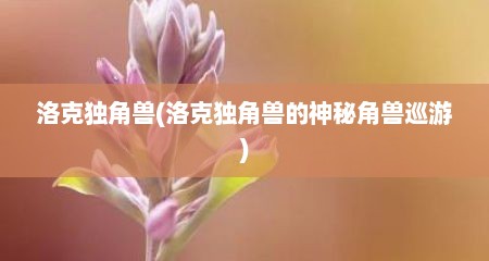 洛克独角兽(洛克独角兽的神秘角兽巡游)