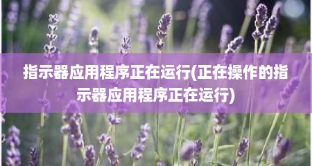 指示器应用程序正在运行(正在操作的指示器应用程序正在运行)