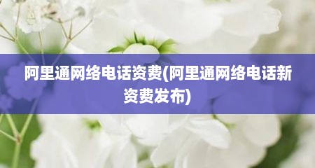 阿里通网络电话资费(阿里通网络电话新资费发布)