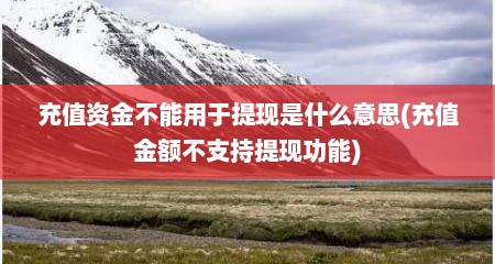 充值资金不能用于提现是什么意思(充值金额不支持提现功能)