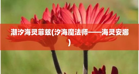 潮汐海灵菲兹(汐海魔法师——海灵安娜)