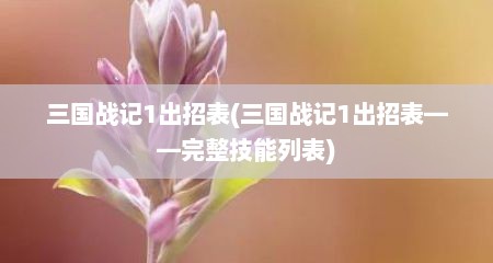 三国战记1出招表(三国战记1出招表——完整技能列表)