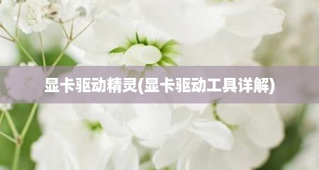 显卡驱动精灵(显卡驱动工具详解)