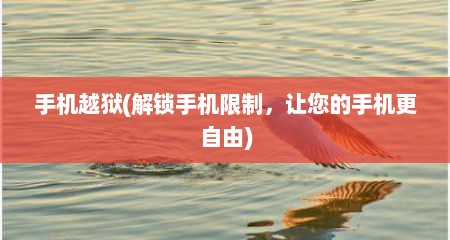 手机越狱(解锁手机限制，让您的手机更自由)