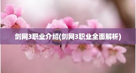 剑网3职业介绍(剑网3职业全面解析)
