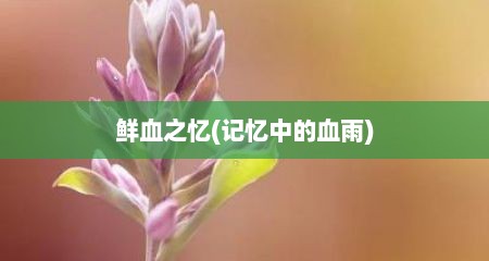 鲜血之忆(记忆中的血雨)