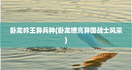 卧龙吟王异兵种(卧龙嘹亮异国战士风采)