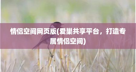 情侣空间网页版(爱巢共享平台，打造专属情侣空间)